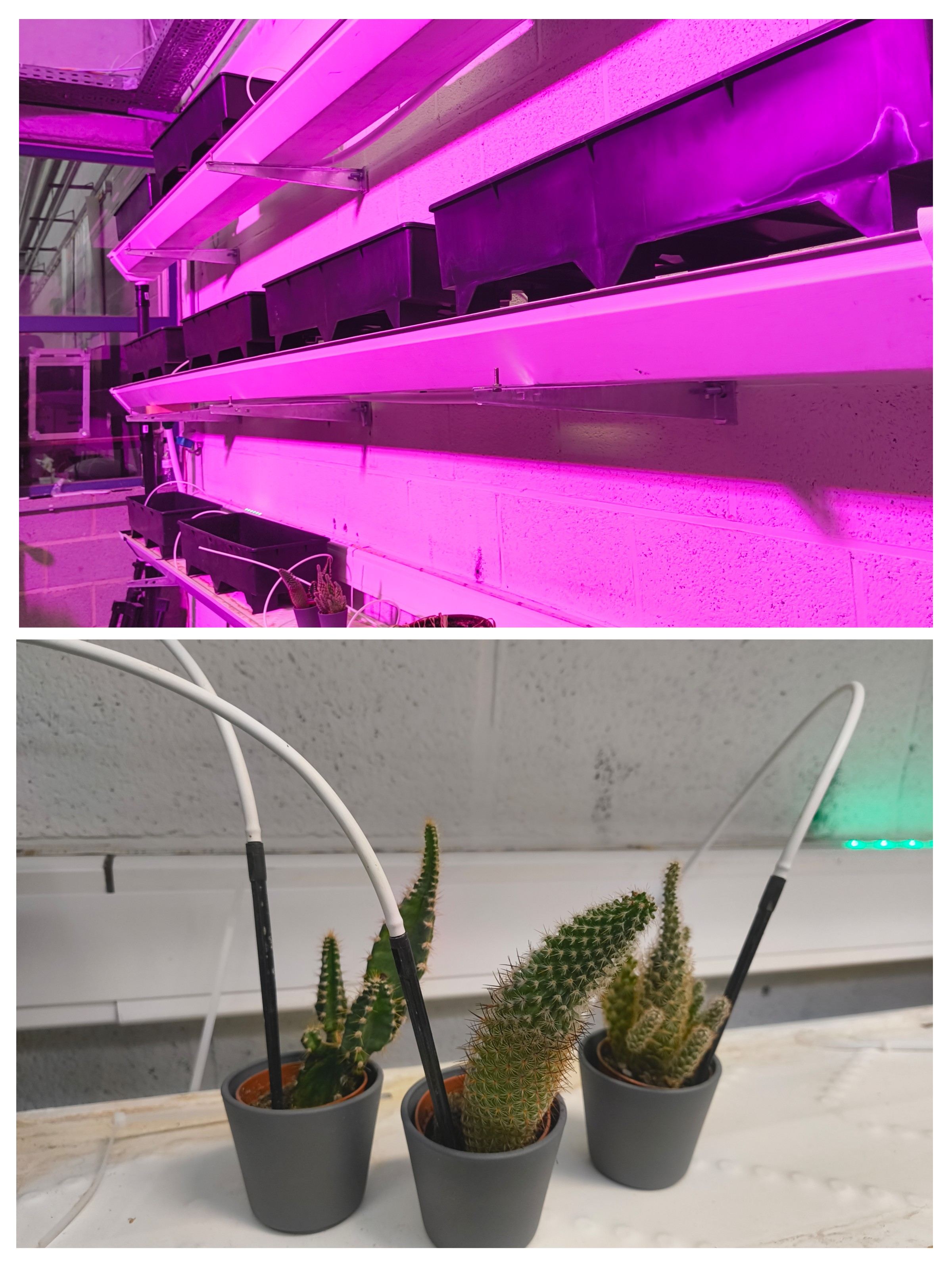 Verticale Farm compleet product