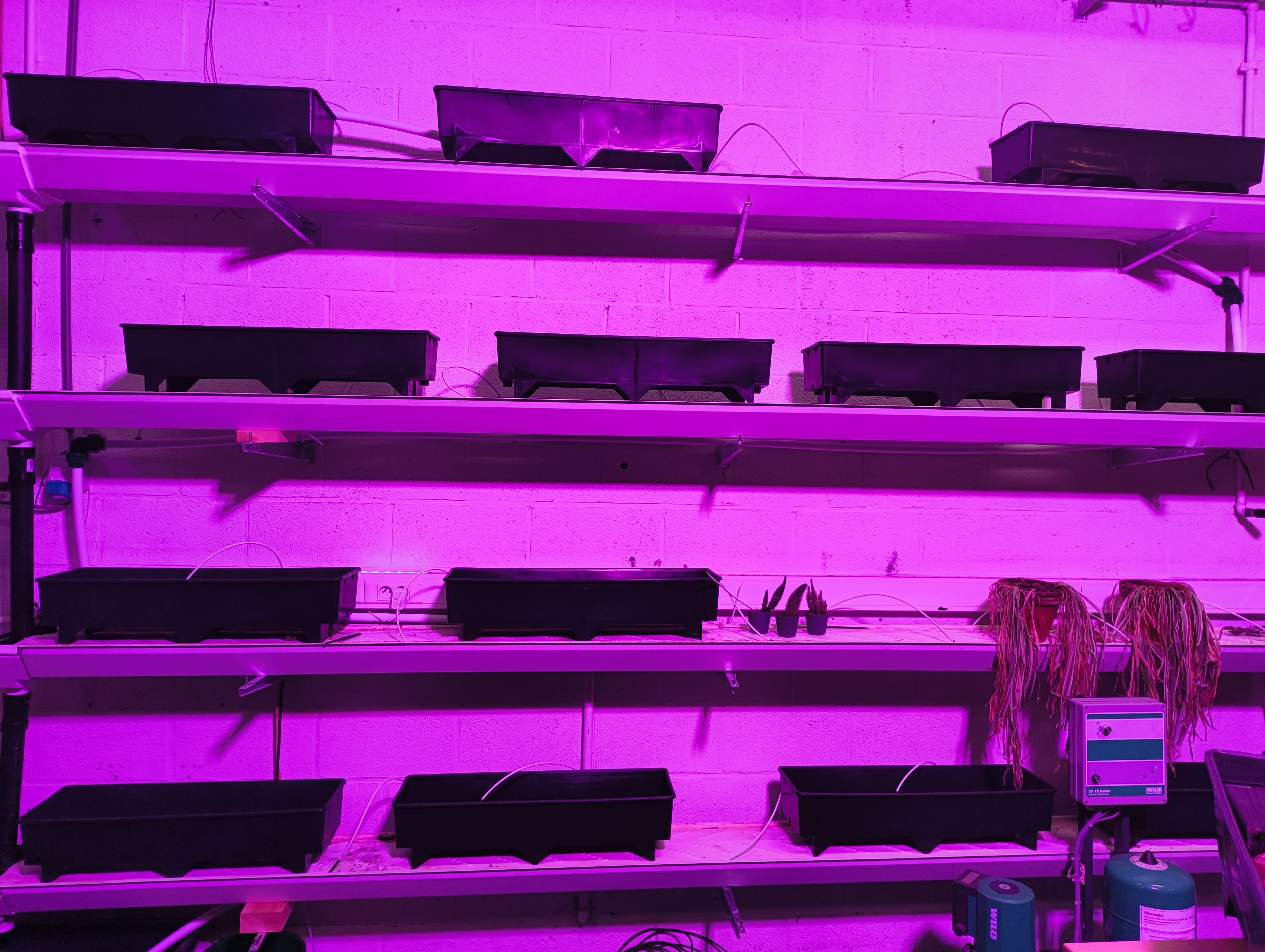 Verticale farm prototype
